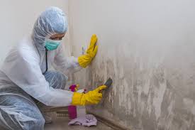 Best Crawl Space Mold Remediation  in Whetstone, AZ